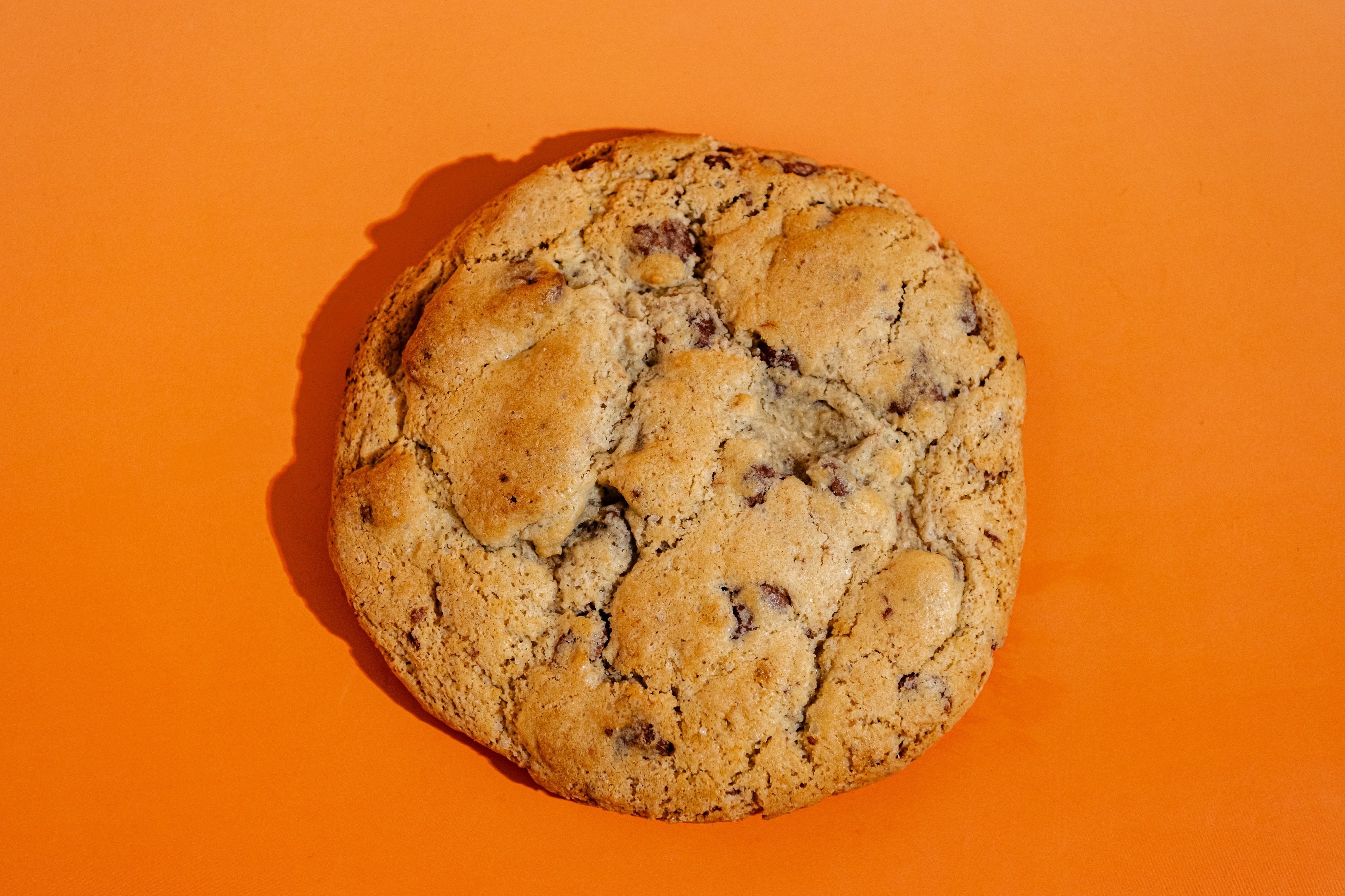 Chocolate Chip Cookie
