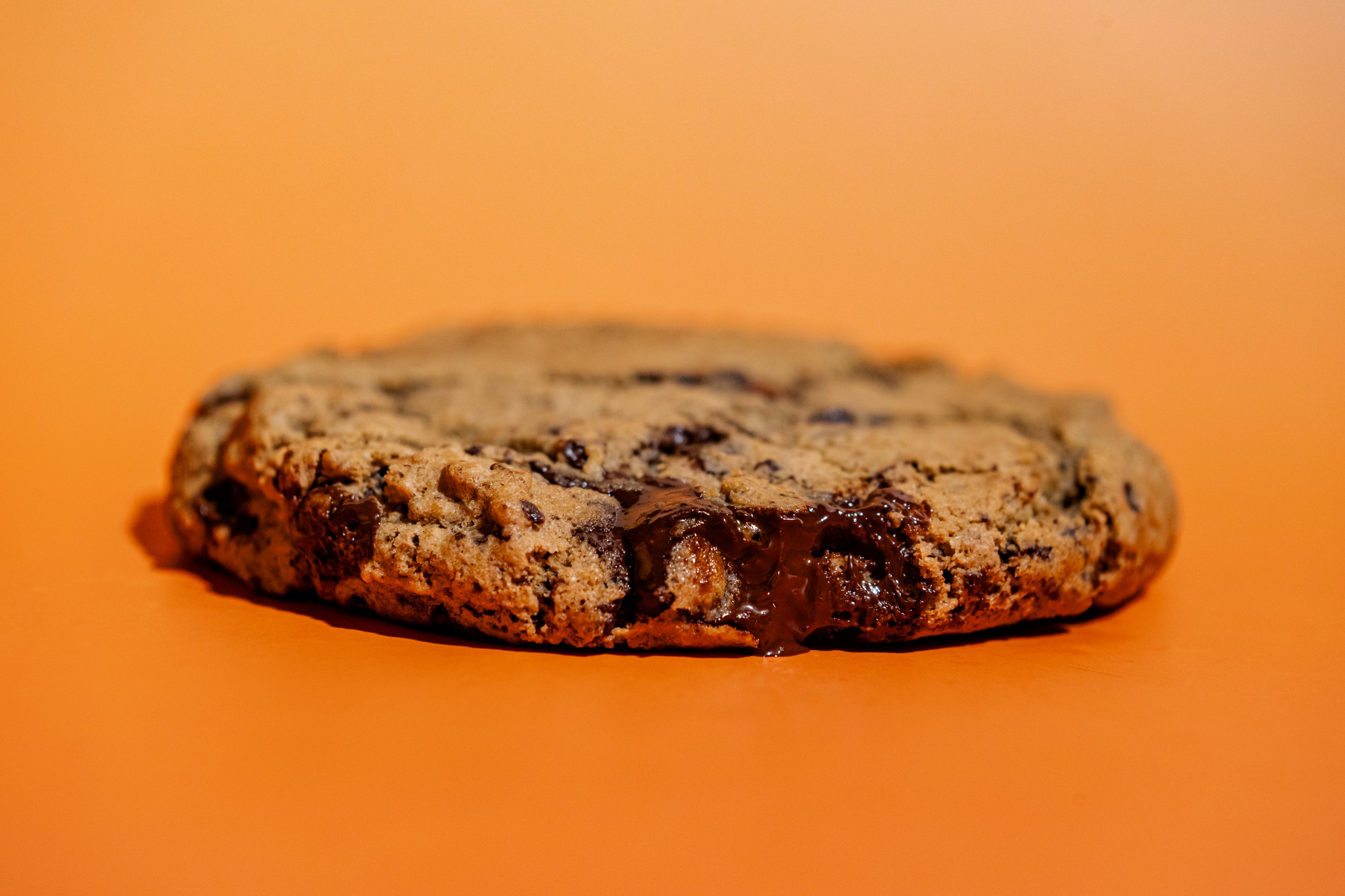 Espresso Cookie